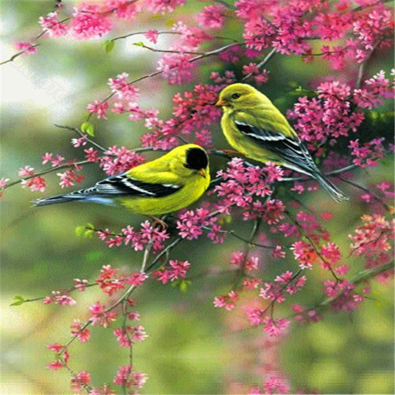Adult Diamond Painting Kit Bird Wall Art Embroidery - Multiple Sizes & Styles