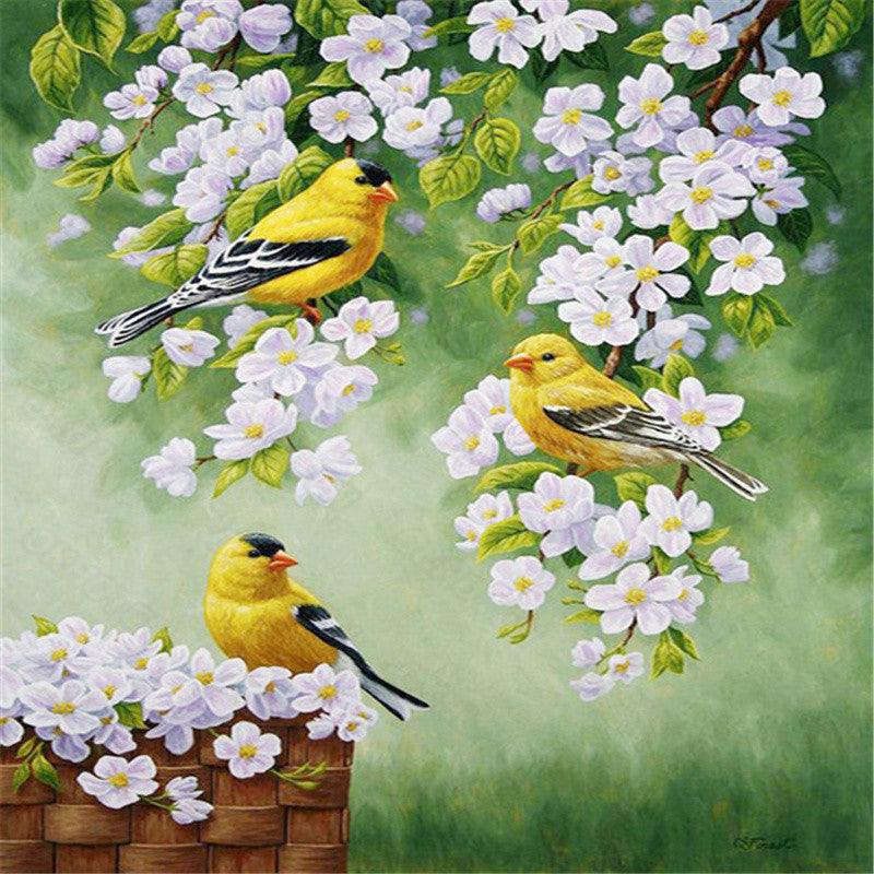 Adult Diamond Painting Kit Bird Wall Art Embroidery - Multiple Sizes & Styles
