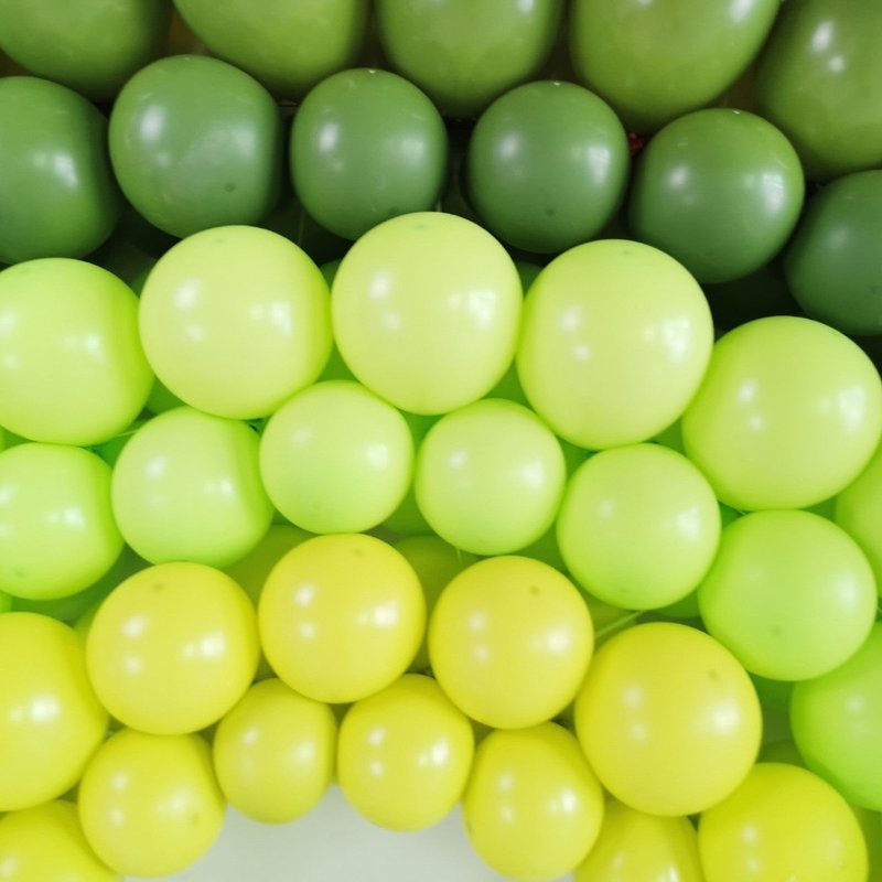 10 Inch Decorative Balloons Pack - Thick Rubber Party Decor