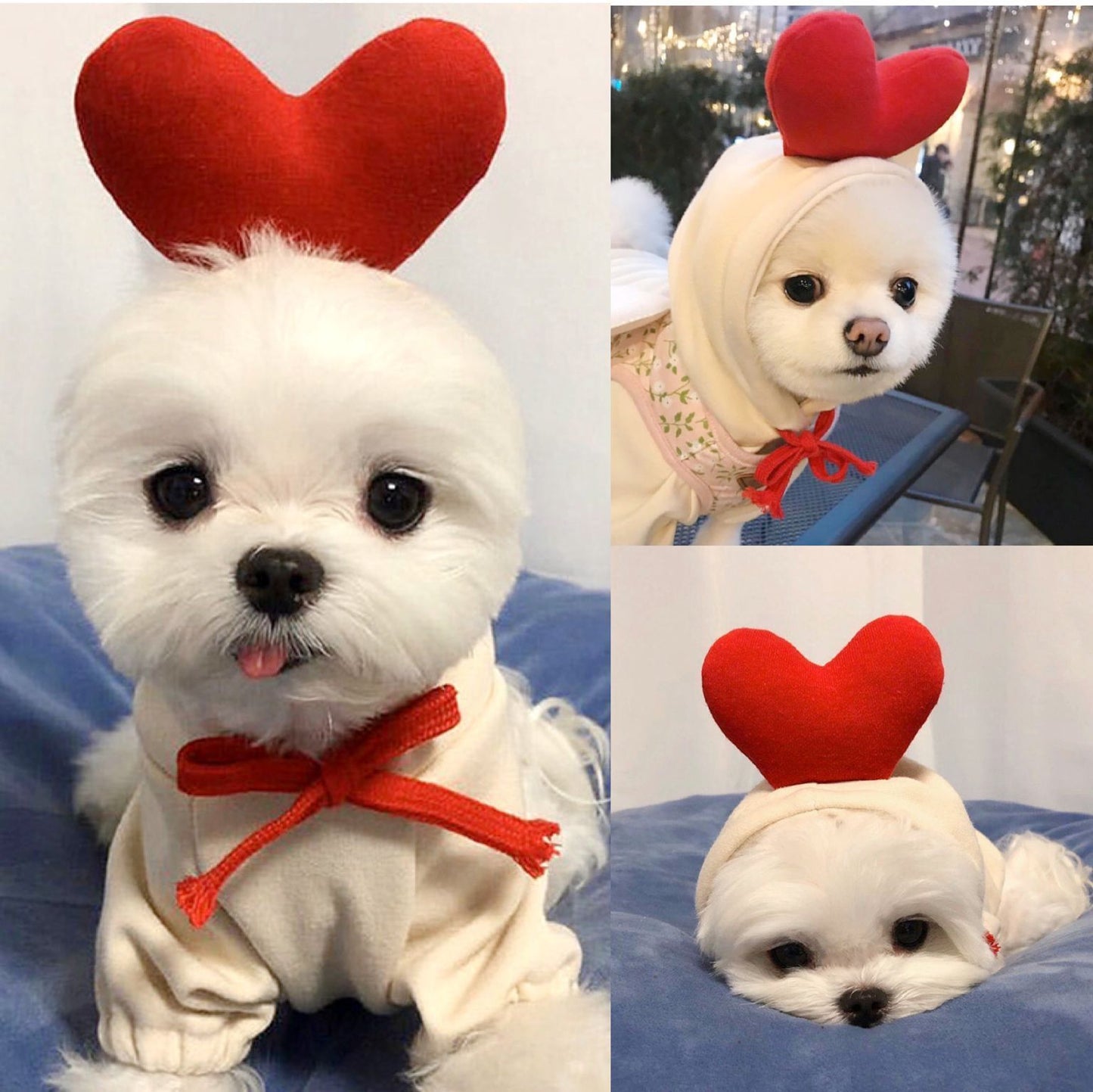 Cute Fruit Dog Hoodie for Small Dogs Winter Warm Fleece Pet Sweater