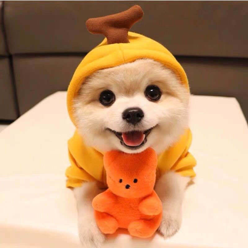 Cute Fruit Dog Hoodie for Small Dogs Winter Warm Fleece Pet Sweater