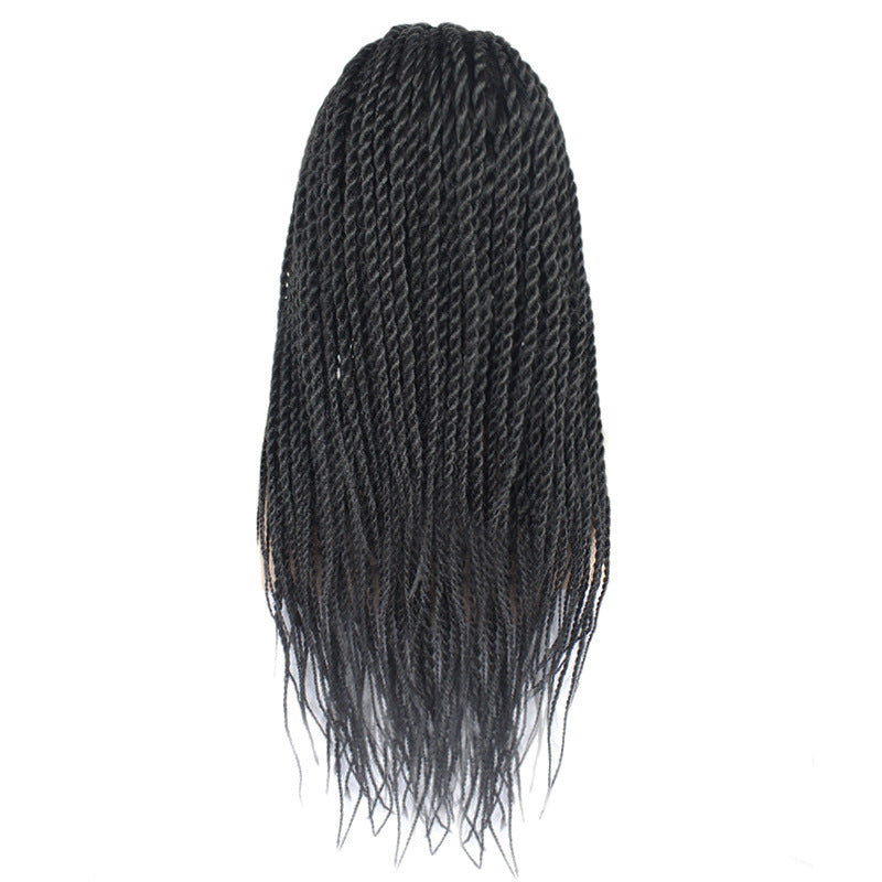Synthetic Braided Wig - Long Hair