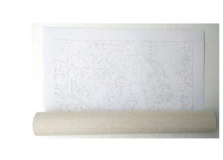 DIY Digital Oil Painting Kit - Frameless Canvas for Home & Decor