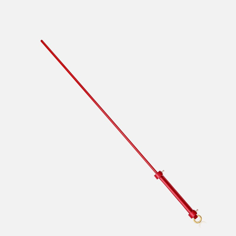 Leather Horsewhip for Adult Wellness and Home Use - Aurora & Red Pointer Variants