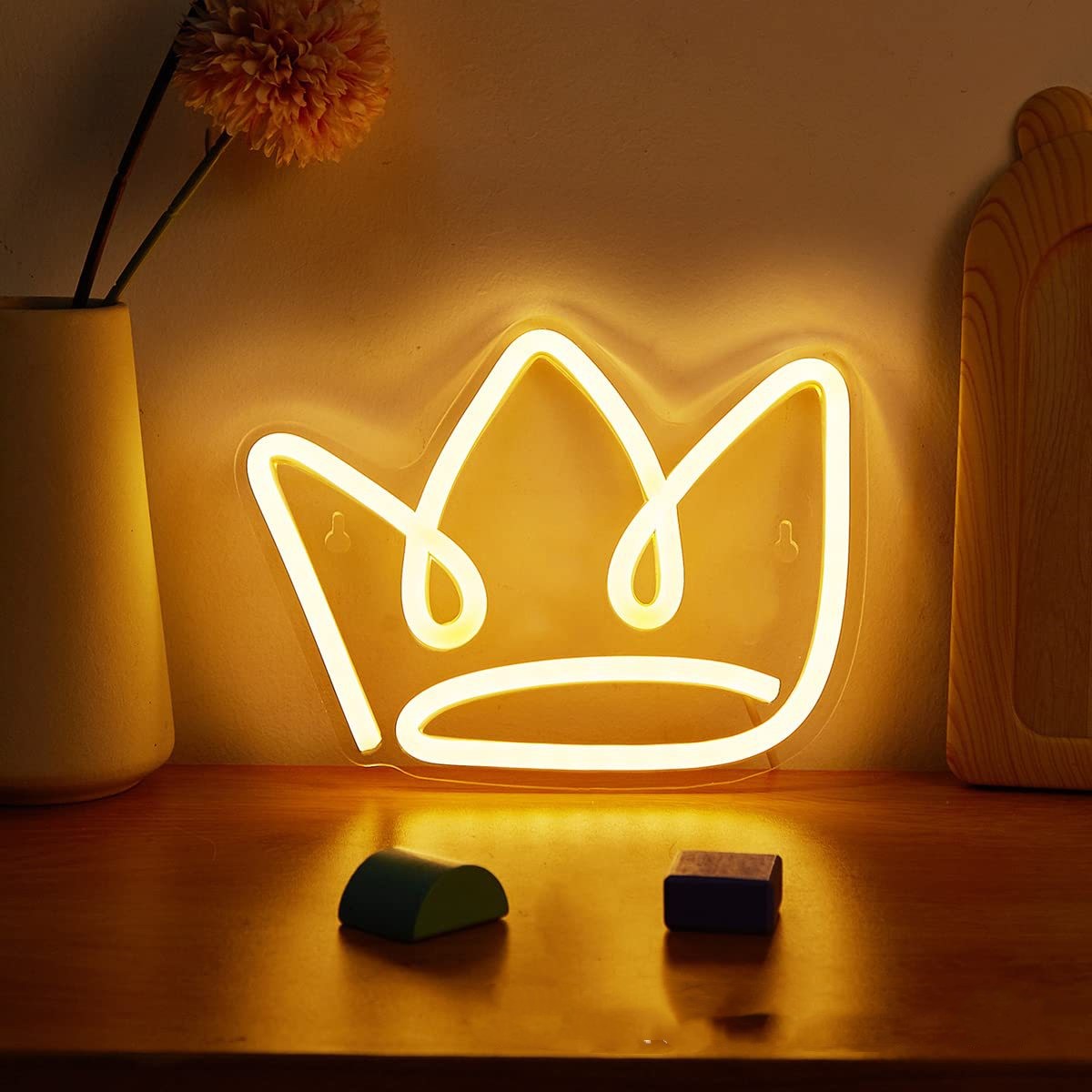 Neon Acrylic Luminous Light Plate - Creative Interior & Party Decor