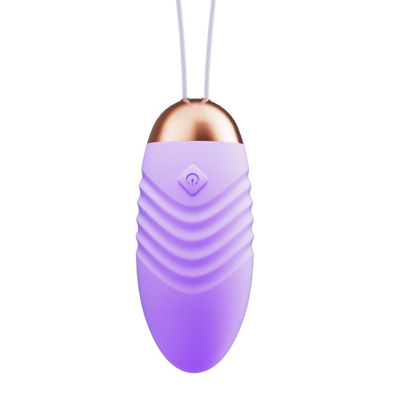 Remote Control Vibrator for Female Pleasure, Body-Entering, Pink & Purple
