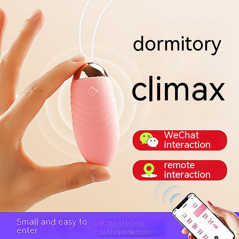 Remote Control Vibrator for Female Pleasure, Body-Entering, Pink & Purple
