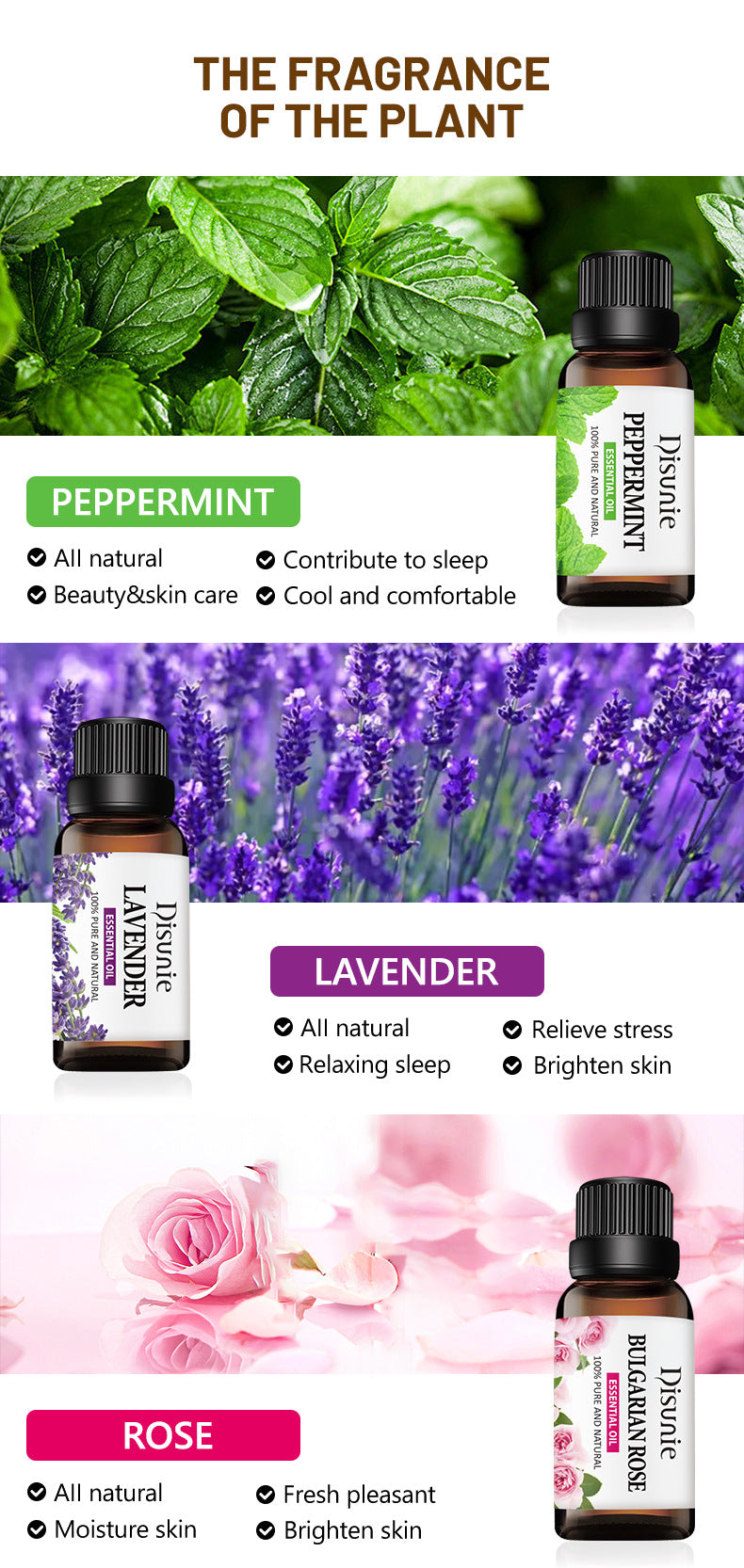 Essential Oil Massage Set - Multiple Fragrances