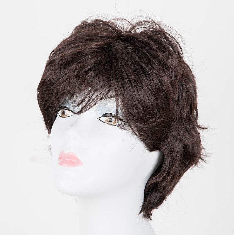 Synthetic Hair Wig for Ladies - Short, Rolled, High-Temperature Fiber