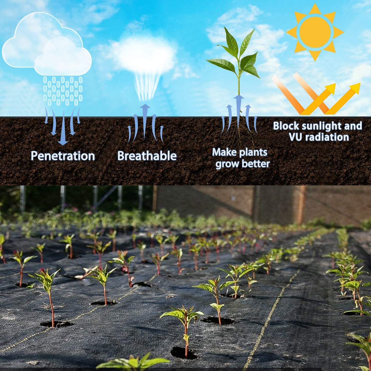Black Weed Control Landscape Fabric for Garden and Landscaping