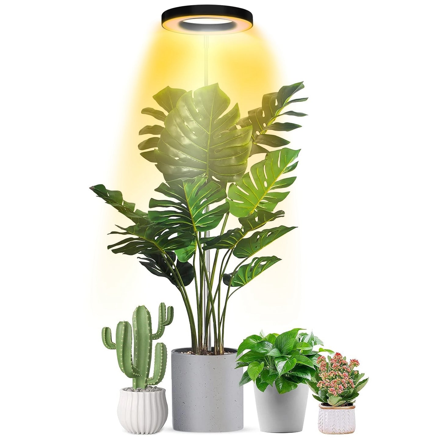 Indoor Plant Grow Light LED Full Spectrum with Auto Timer & Dimmable Brightness