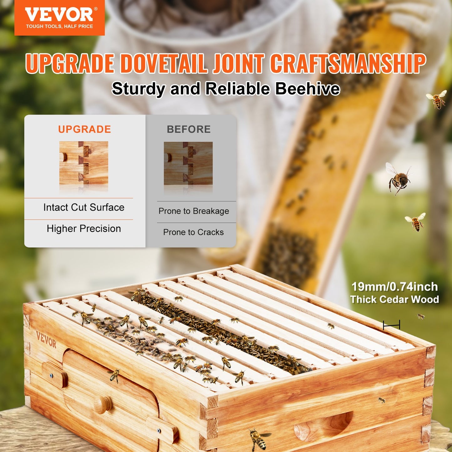 Bee Hive Medium Box Starter Kit with Cedar Wood & Transparent Windows