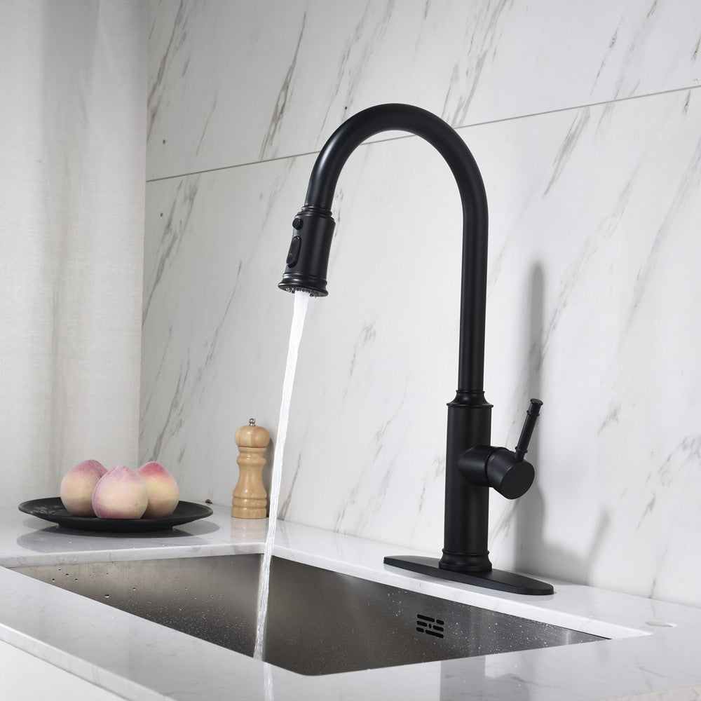 Single-Handle Pull-Down Kitchen Faucet with Dual Function - Matte Black