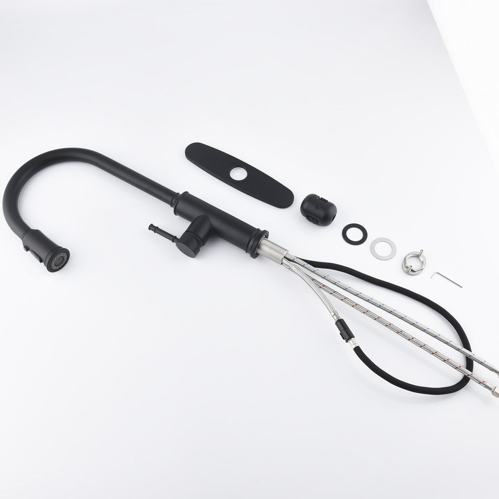 Single-Handle Pull-Down Kitchen Faucet with Dual Function - Matte Black