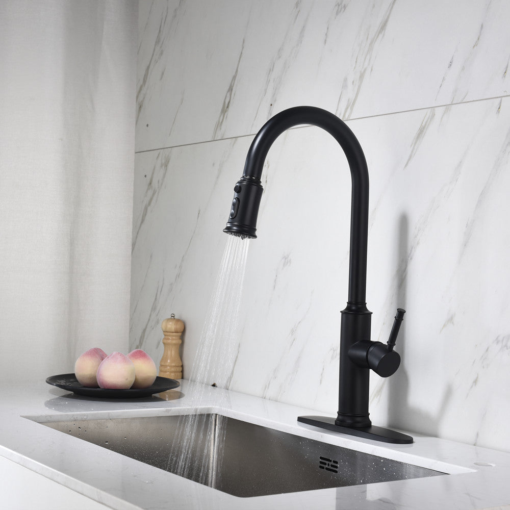 Single-Handle Pull-Down Kitchen Faucet with Dual Function - Matte Black