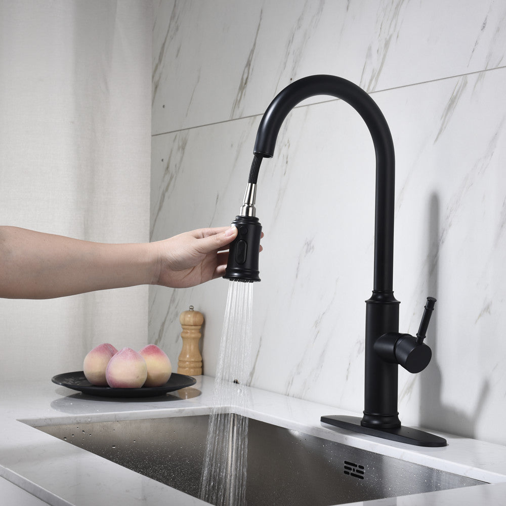 Single-Handle Pull-Down Kitchen Faucet with Dual Function - Matte Black