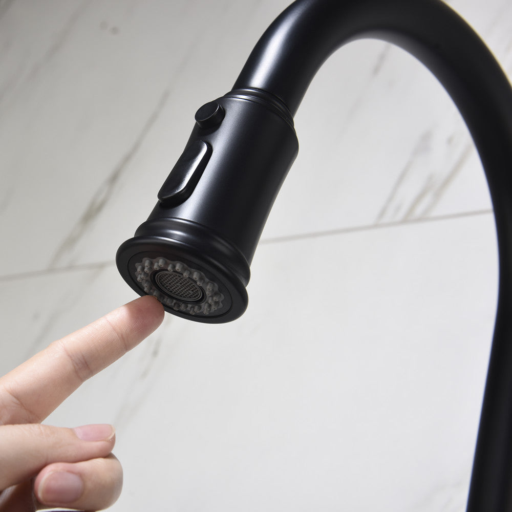 Single-Handle Pull-Down Kitchen Faucet with Dual Function - Matte Black