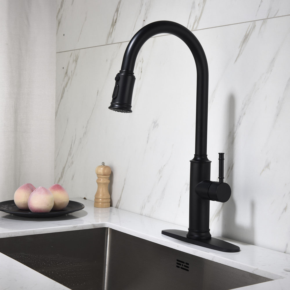 Single-Handle Pull-Down Kitchen Faucet with Dual Function - Matte Black
