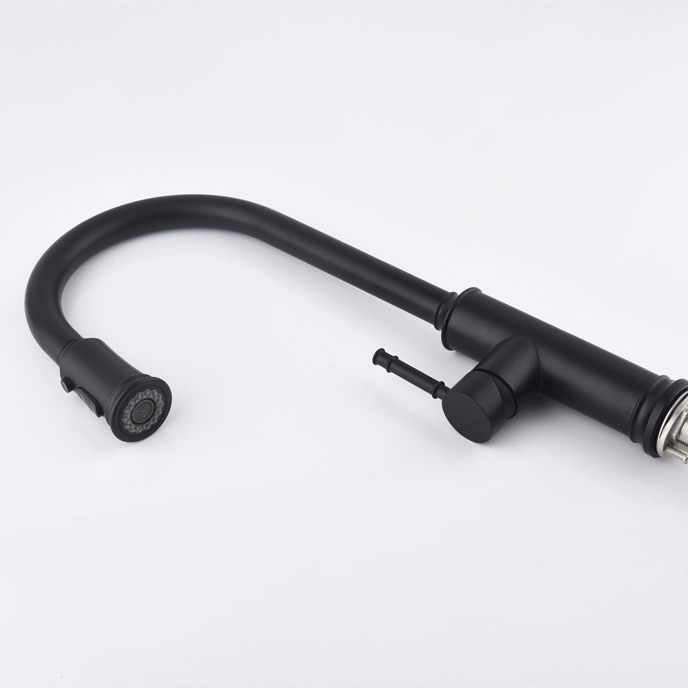 Single-Handle Pull-Down Kitchen Faucet with Dual Function - Matte Black