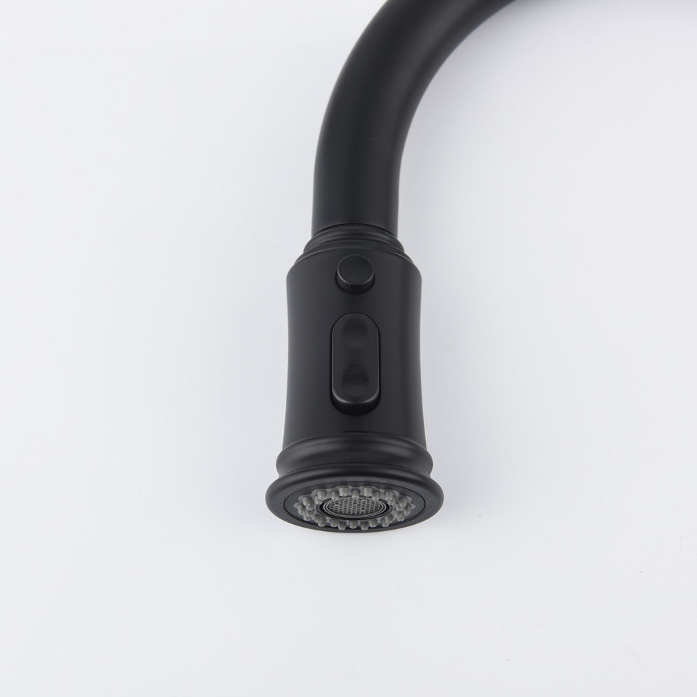 Single-Handle Pull-Down Kitchen Faucet with Dual Function - Matte Black