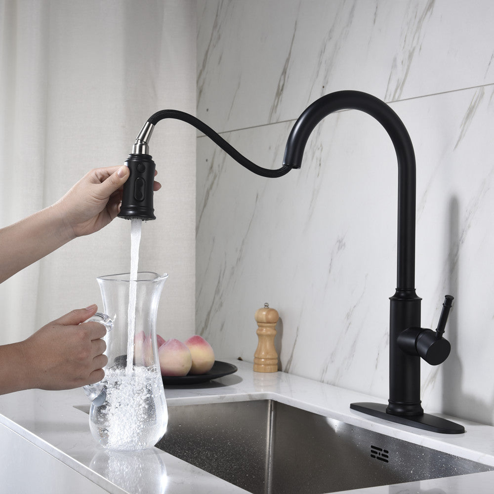 Single-Handle Pull-Down Kitchen Faucet with Dual Function - Matte Black