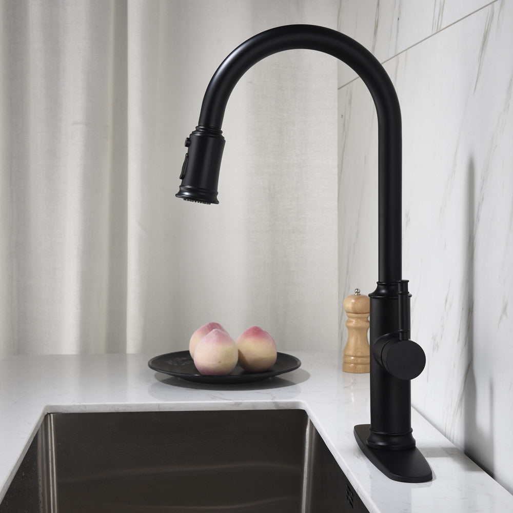 Single-Handle Pull-Down Kitchen Faucet with Dual Function - Matte Black