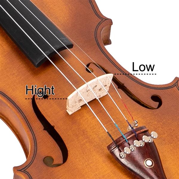 Natural Acoustic Violin Accessories Set - Matte Natural Color