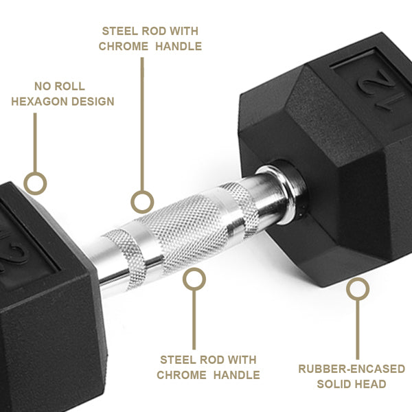 20LB Rubber Coated Solid Cast Iron Dumbbells for Strength Training