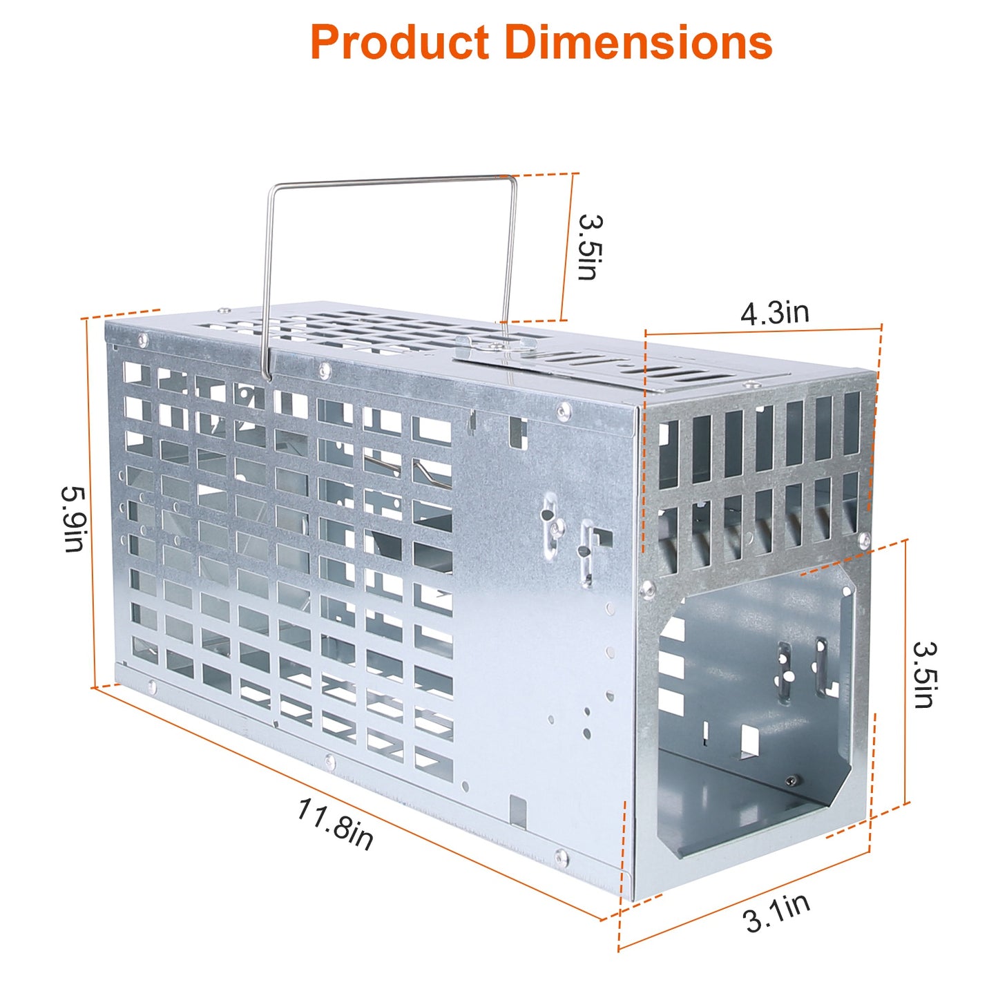 Humane Live Mouse Trap Cage - Reusable Metal Rodent Catcher