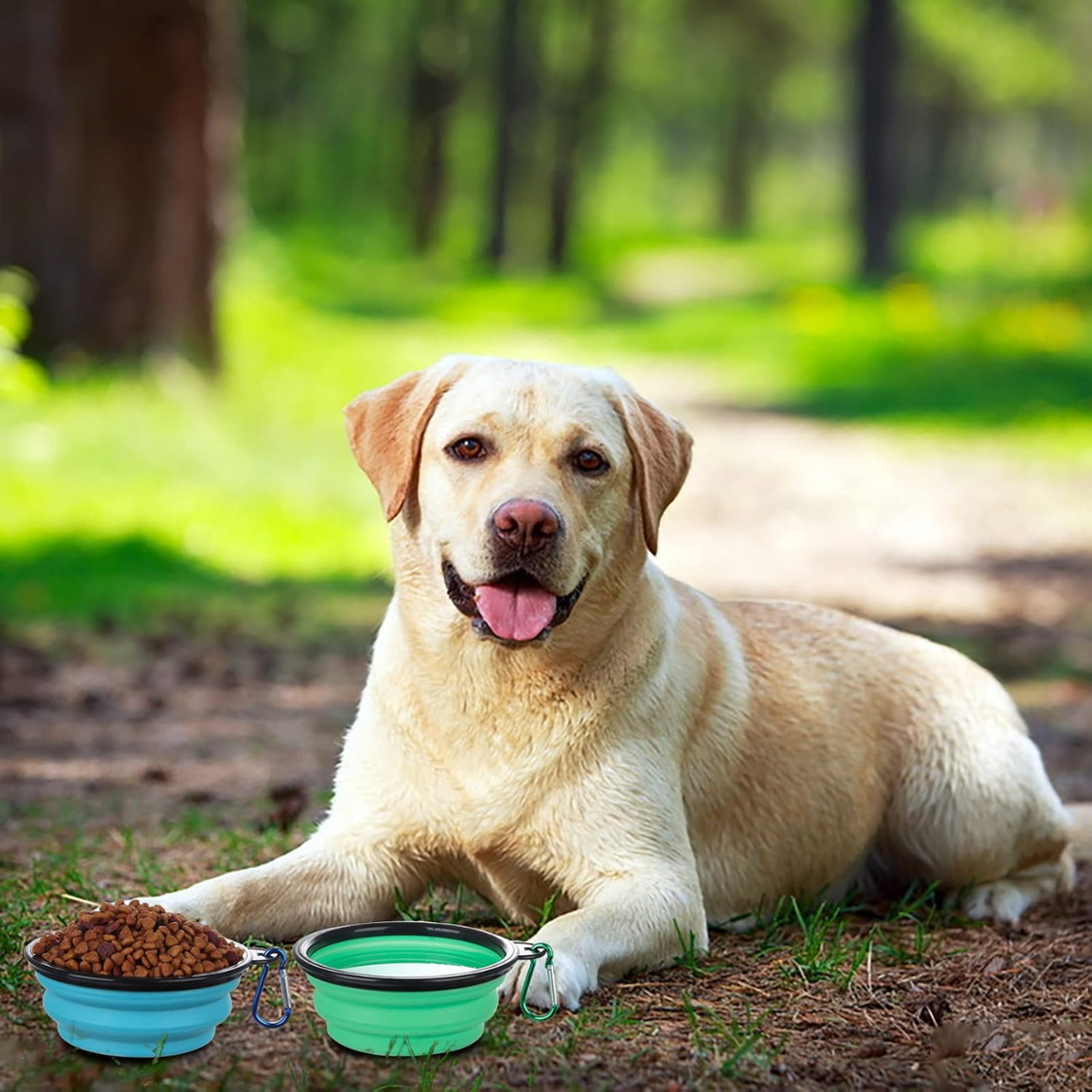 Portable Collapsible Dog & Cat Travel Water Bowl with Cover Lids - 3 Sizes