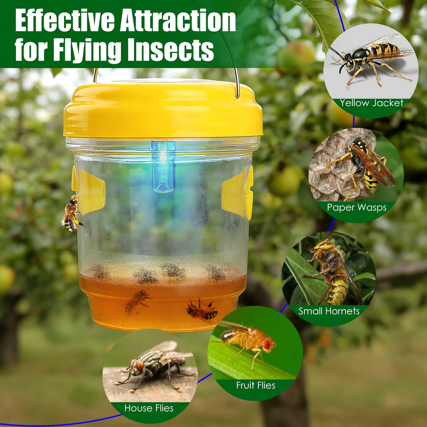 Solar Wasp Trap with UV Light - 3 Pack Outdoor Insect Catchers