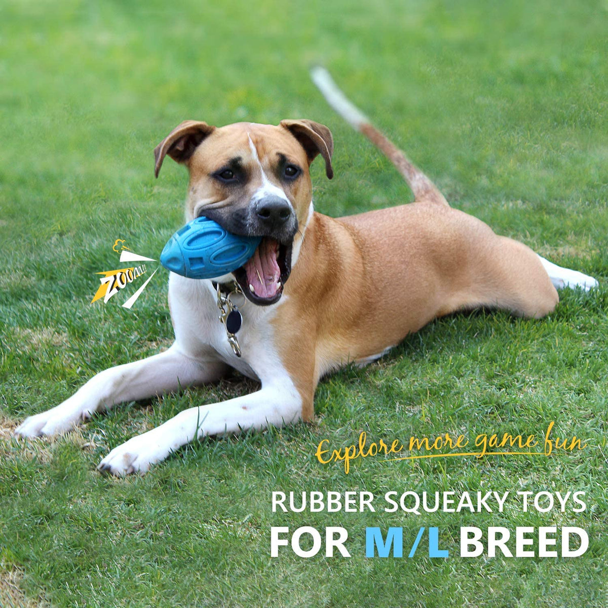 Durable Rubber Dog Toy with Squeaker - Interactive Bite-Resistant Fetch Ball