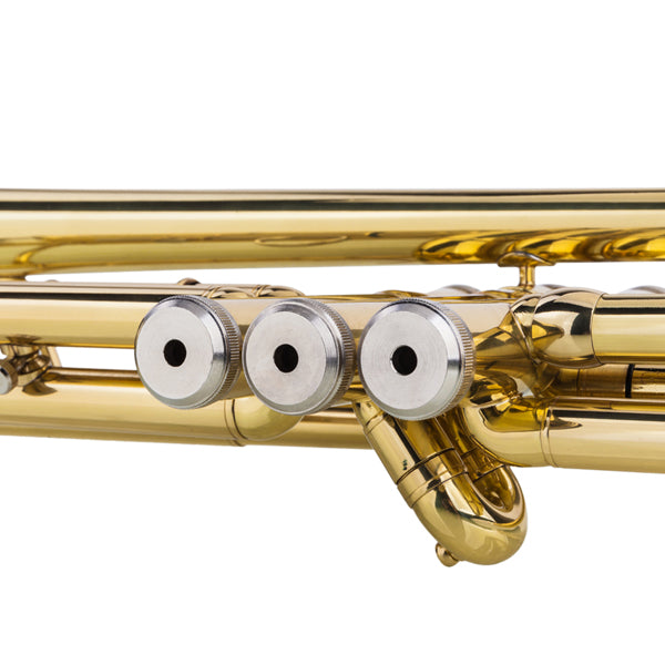 Adjustable Trumpet Gloves Set - Golden