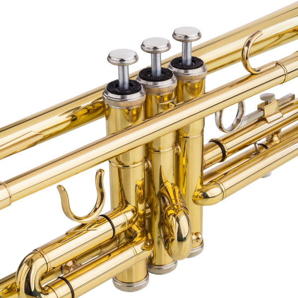 Adjustable Trumpet Gloves Set - Golden