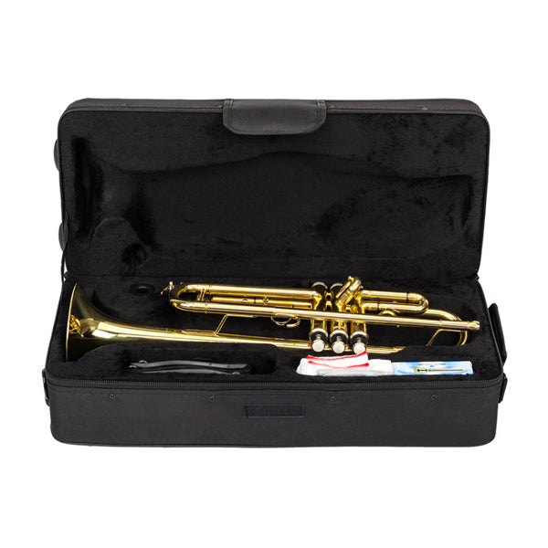 Adjustable Trumpet Gloves Set - Golden