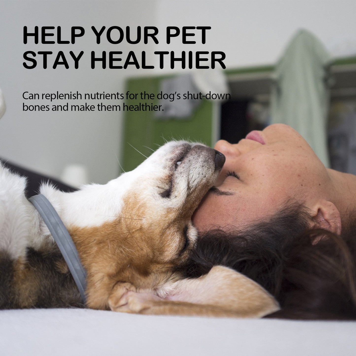 Dog Joint & Muscle Relief Oil with Lemon Balm & Omega Fatty Acids - Support Mobility