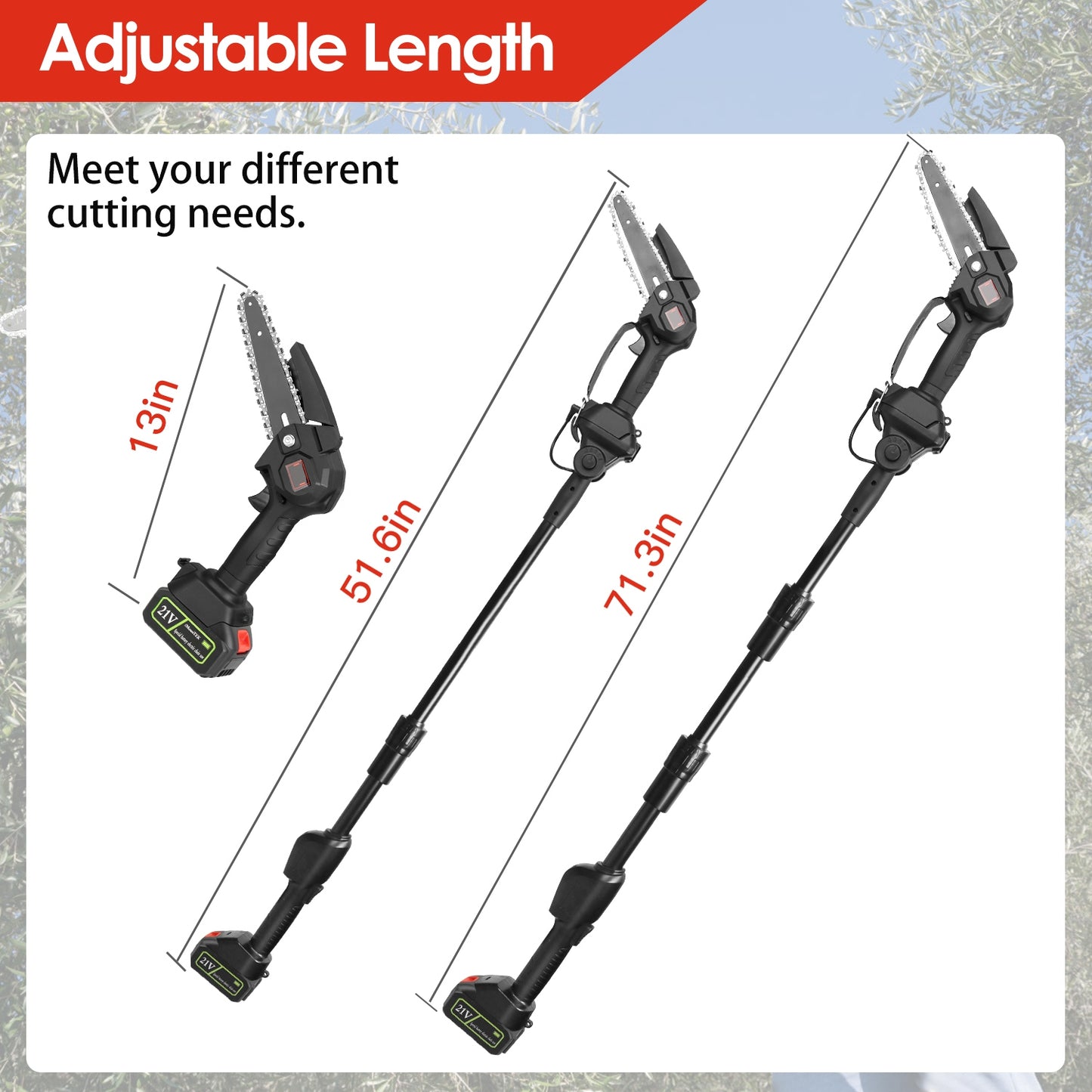 Cordless 2-in-1 Pole Saw & Mini Chainsaw Set with 2 Batteries for Tree Trimming