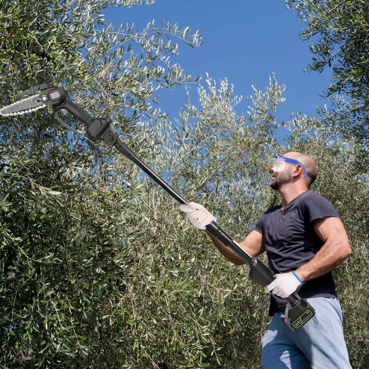 Cordless 2-in-1 Pole Saw & Mini Chainsaw Set with 2 Batteries for Tree Trimming