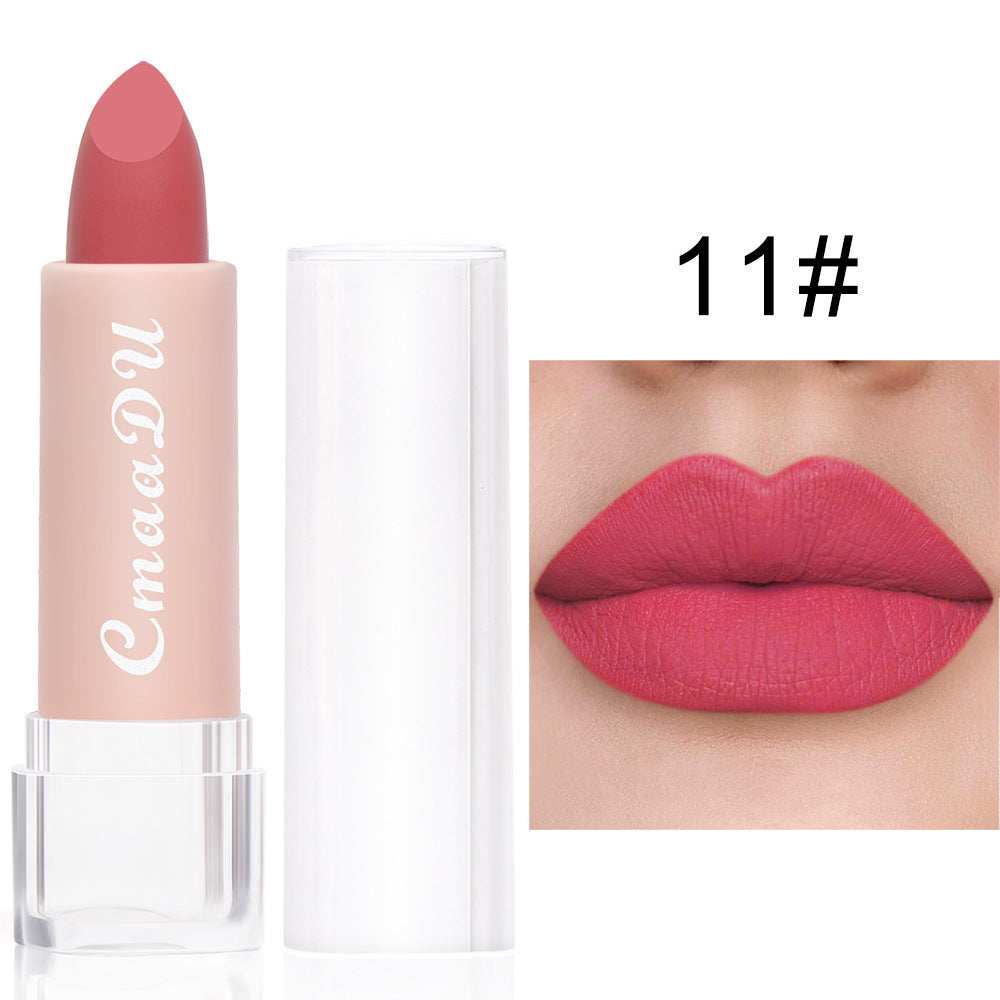 Matte Moisturizing Waterproof Lipstick - Color Variety, 15 Shades