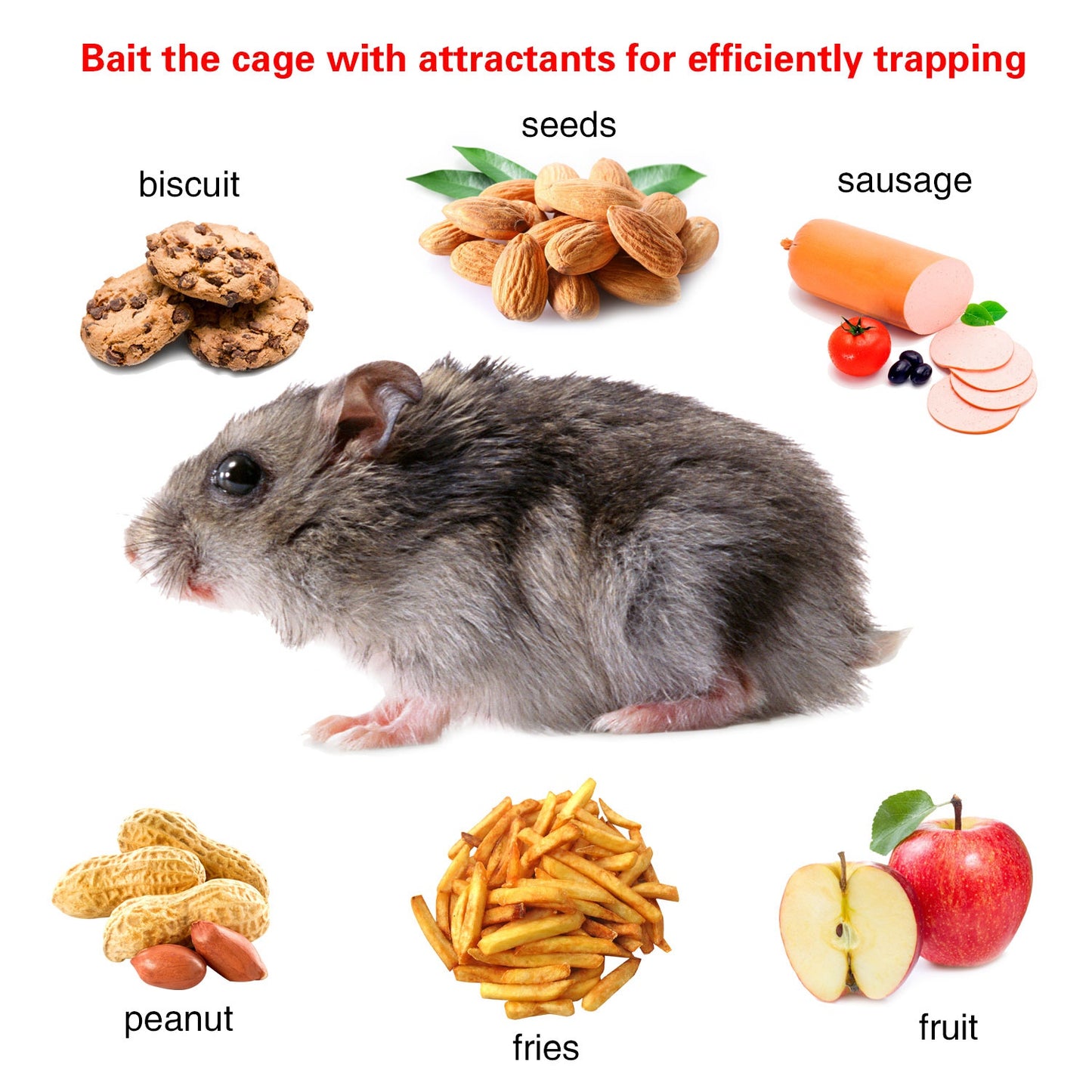 Humane Live Rodent Trap Cage - Galvanized Iron, 1 or 2 Pack Options