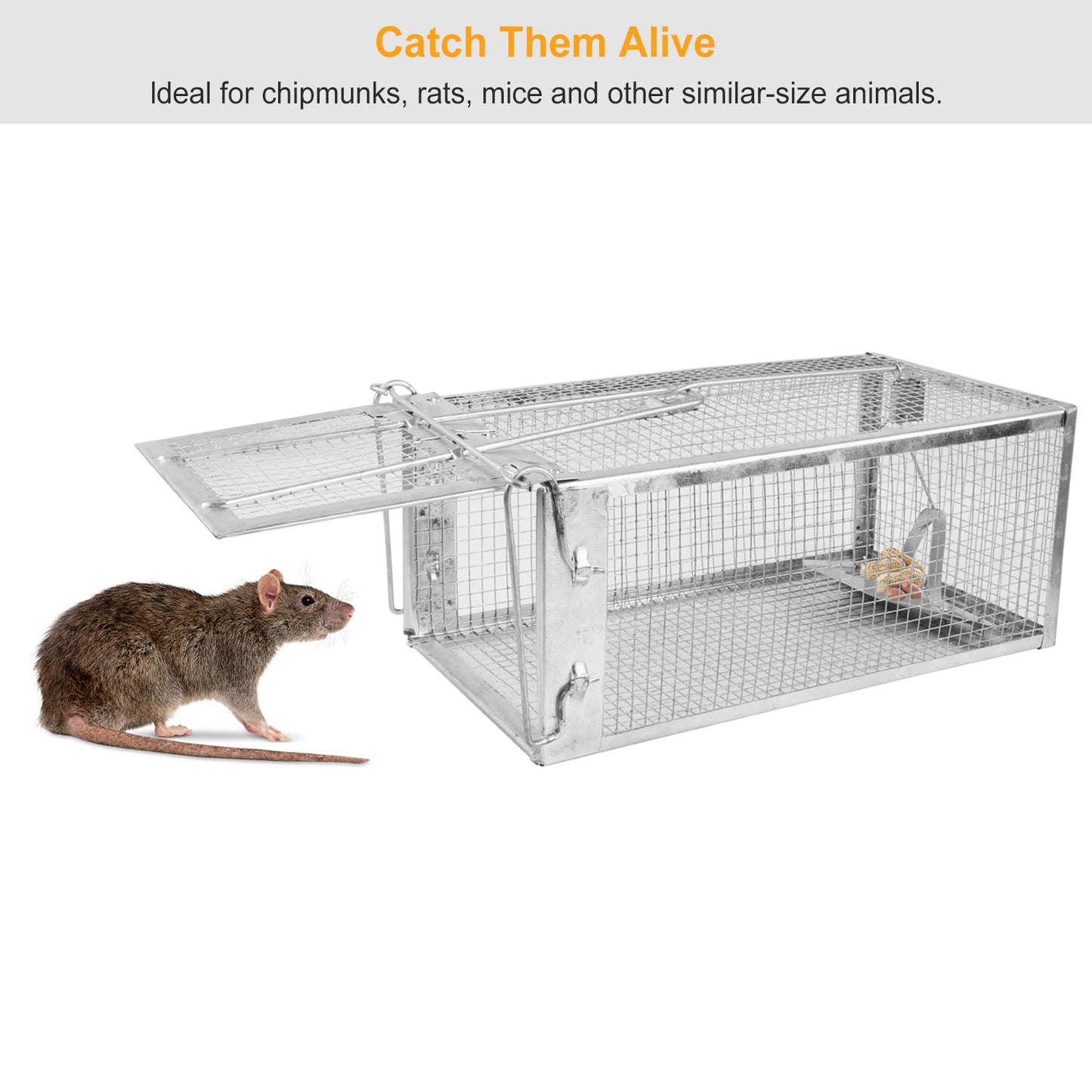 Humane Live Rodent Trap Cage - Galvanized Iron, 1 or 2 Pack Options