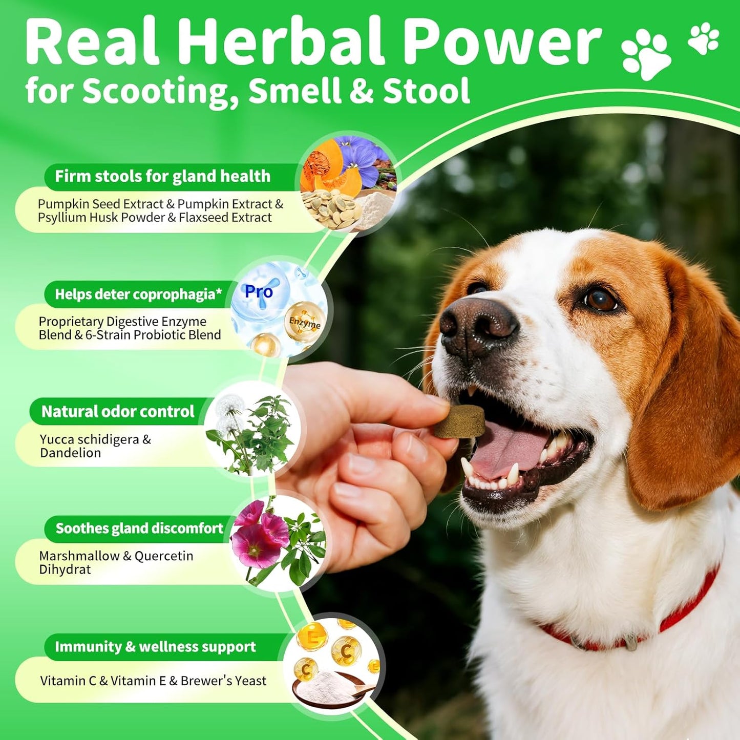 Dog Digestive Enzymes & Probiotics Soft Chews - Gut Health, Pumpkin Fiber, Chicken Flavor, 90 Count