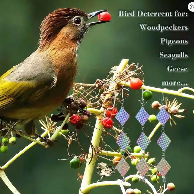 Bird Repellent Reflective Discs Set - Pigeon Crow Swallow Deterrent, Wind-Spin, UV Resistant, 24pcs