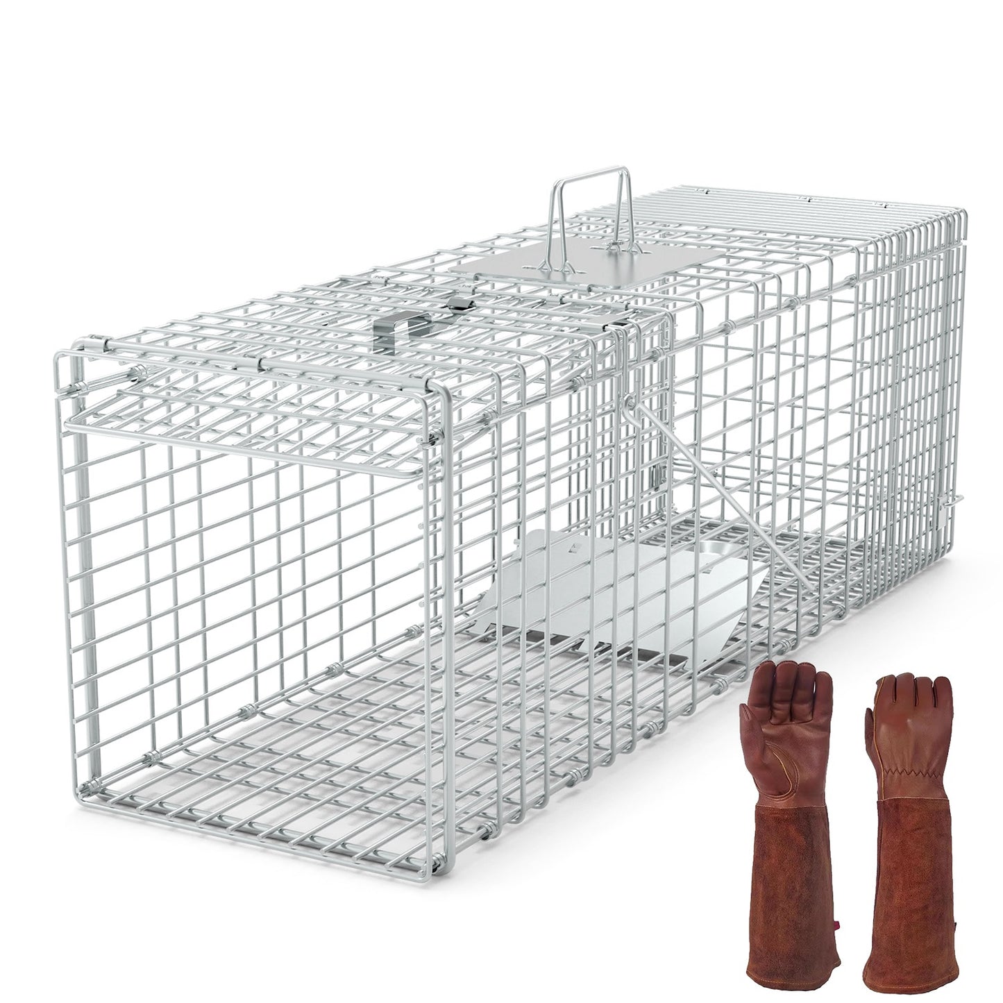 Humane Cat Trap Cage for Raccoons, Beavers & Groundhogs - Collapsible