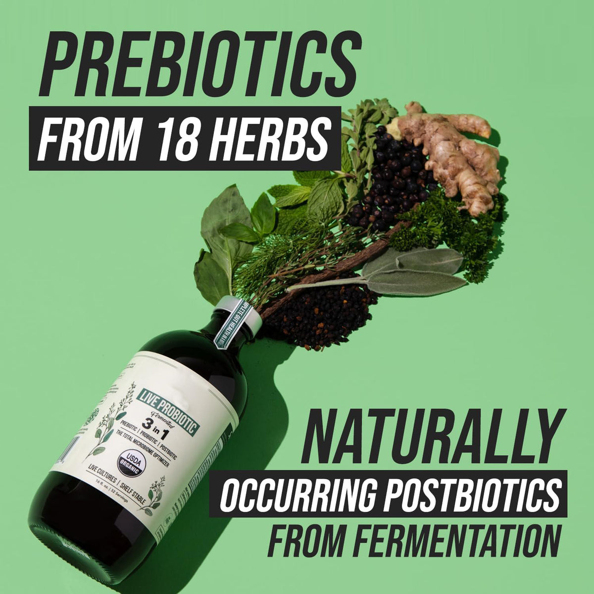 Probiotics Microbial Optimizer - Bottle