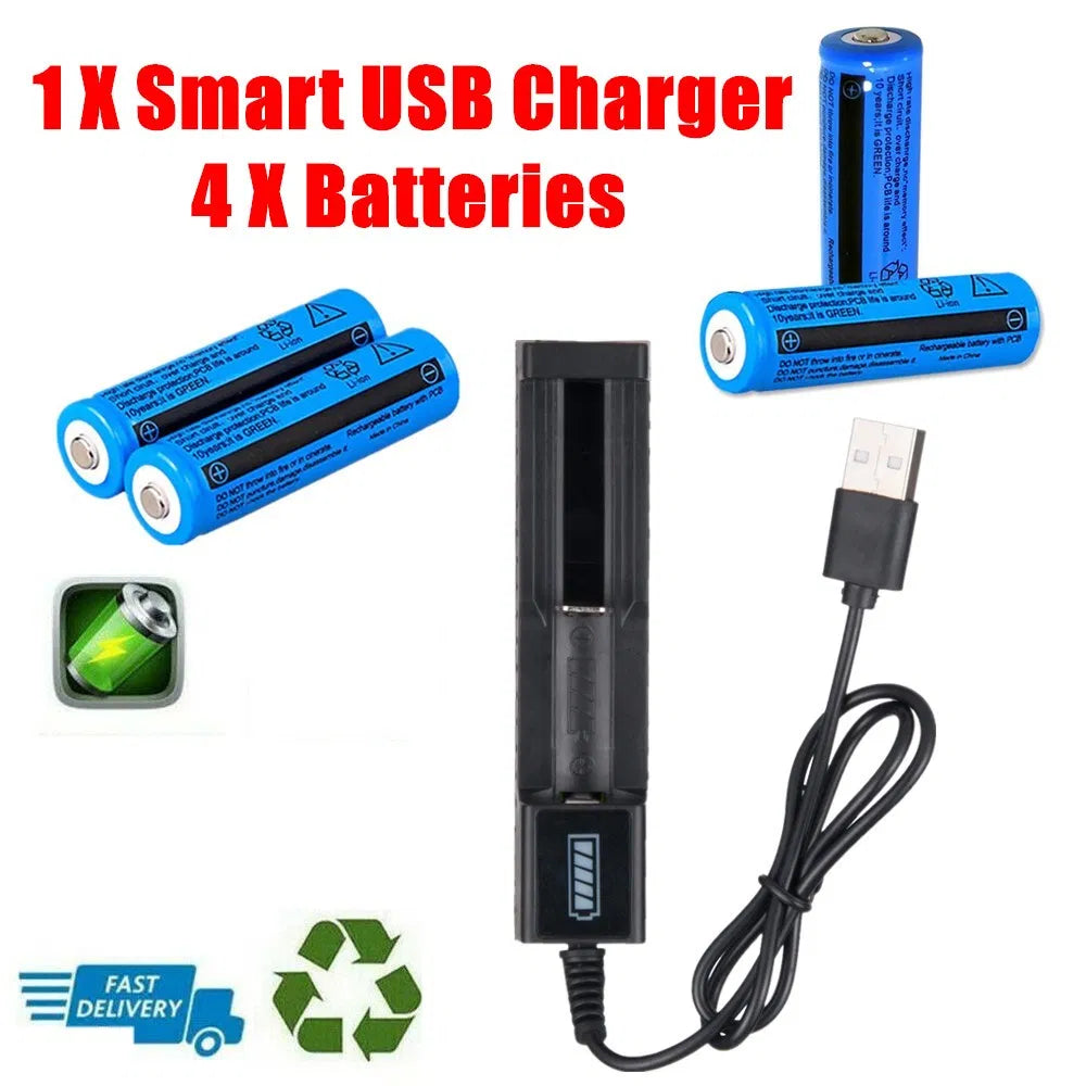 Rechargeable Lithium-Ion Button Top Batteries with USB Charger - 3000mAh, 3.7V, Multipurpose Power Supply