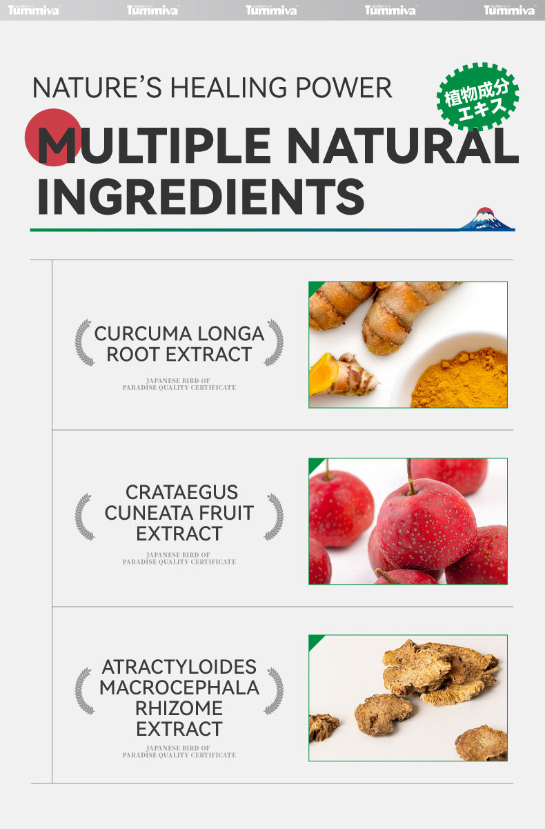 Gastrointestinal Support Gel with Curcuma Longa and Glycerin