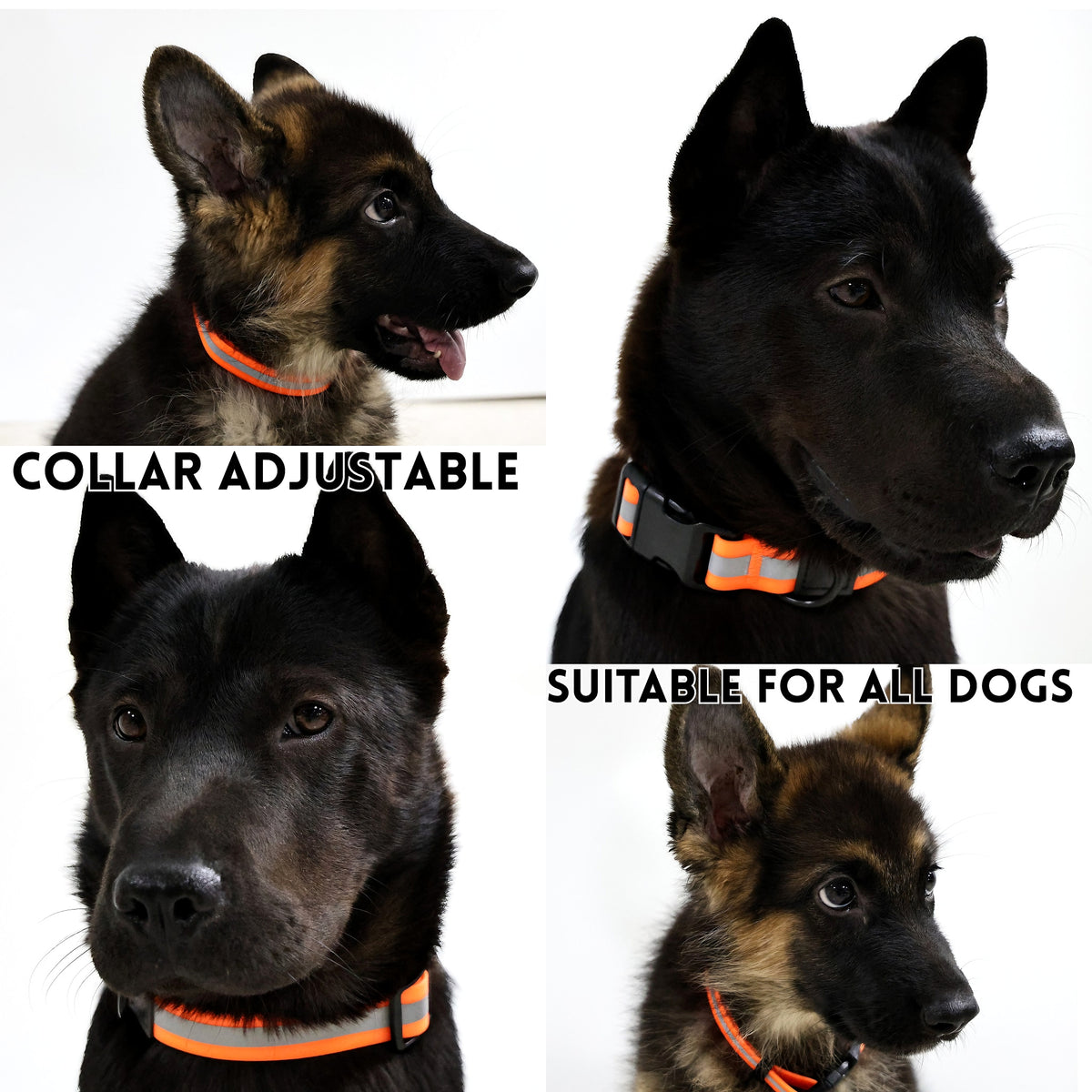 Reflective Pet Leash Set for Nighttime Safety - Waterproof & Durable
