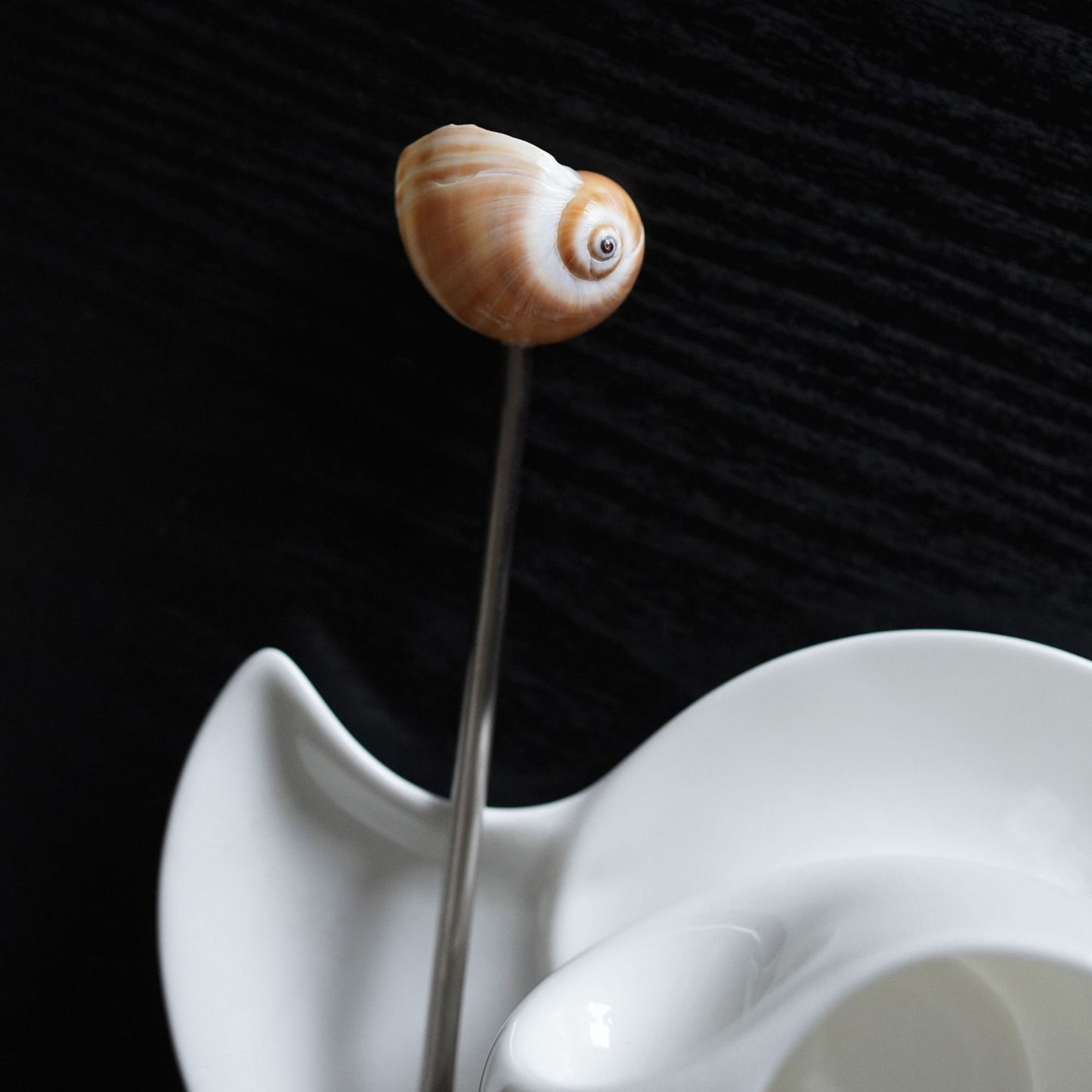 Conch Shell Glass Spoon for Wine Stirring - Creative Kitchen Utensil
