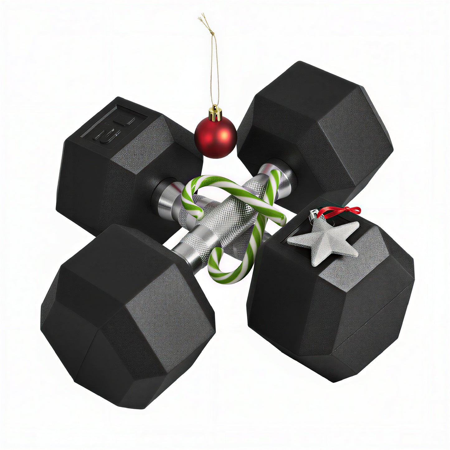 Hex Rubber Dumbbell Set - Non-Rolling Free Weights, 24 lbs